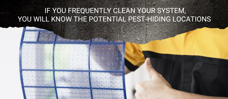 clean your system for potential pest-hiding