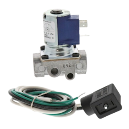Baso H91AA-4C REVB Gas Valve 120V