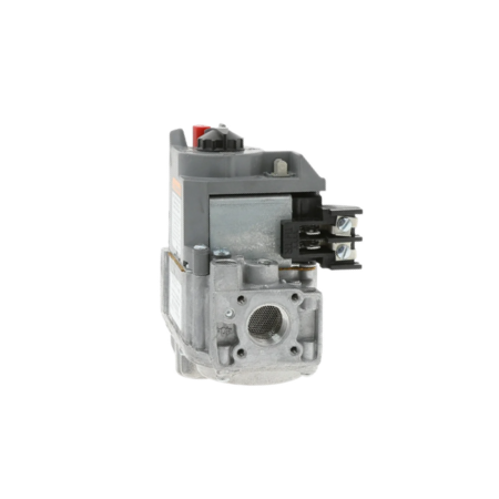 Honeywell Resideo VR8200A2124 Dual Standing Pilot Gas Valve