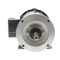 Aurora Pump 950-1800-941 Motor