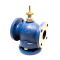 Barber Colman (Schneider Electric) VB-8303-0-5-12 Cast Iron Globe Valve with Brass Trim
