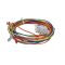 12-Pin Male Connector Trane WIR2360 Wiring Harness