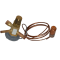 Carrier T111850057 Expansion Valve