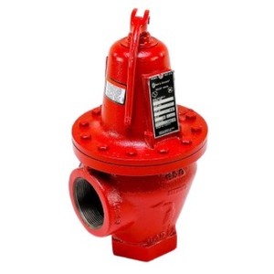 Bell & Gossett 110081 Pressure Relief Valve