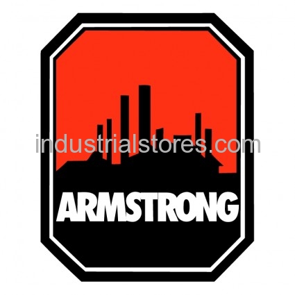 Armstrong Pumps 817025-013 Motor 1/3Hp 115V 1750Rpm