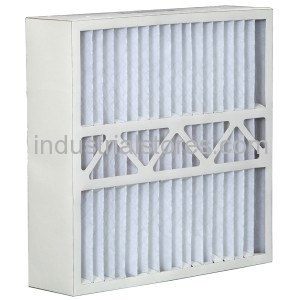 Carrier P102-2025 Replacement Media Filter