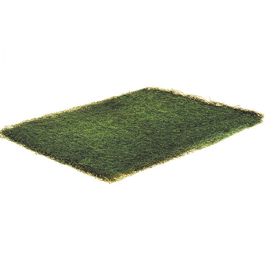 Duralast F218 Hogs Hair Natural Fiber Filter (6 per Carton) 2" x 18" x 18"