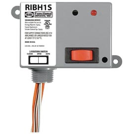 Functional Devices (RIB) RIBH1S Enclosed Pilot Relay