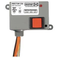 Functional Devices (RIB) RIBU1SM-250 Enclosed Pilot Relay