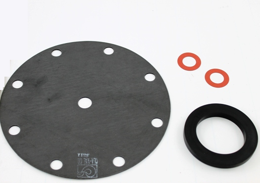 Cla-Val 9169812G Repair Kit 3"