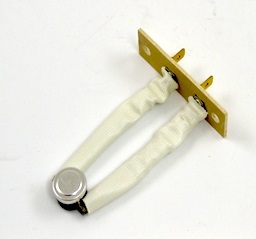 Aaon R54570 Limit Switch 3" Insertion 205F