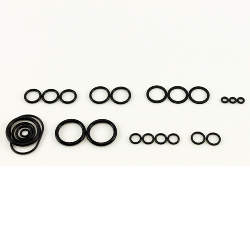 Rheem RTG20206 O-Ring Kit