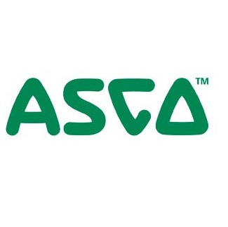 Asco 272851 Ball Valve Strainer Kit