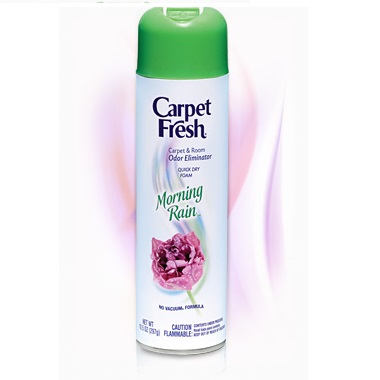 Carpet Fresh 280136 10Oz Quick-Dry Foam Morning Rain (6 can per case) [30 Cases]