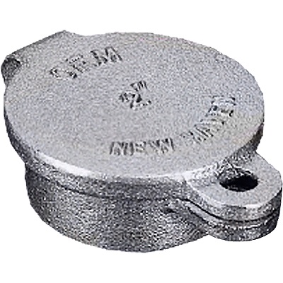 Beckett 14171 Hinged Fill Cap 2" FPT