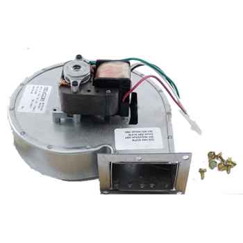 Raypak 008080F Ventor Motor