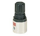 Watts R374-02ATP Mini-Pressure Regulator 1/4" 0-25 PSI with Tamper-Proof Option