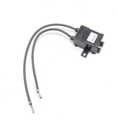 Rheem RTG20006AA Ignitor Coil