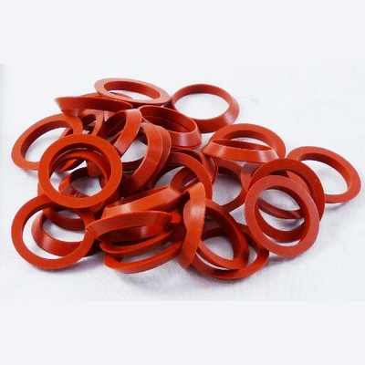 Raypak 001054F Gasket Kit 36 Pcs