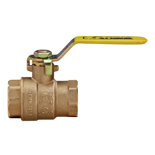 Watts 0547129 Full Port Brass Ball Valve 1" FBV-3C Trim/Drain