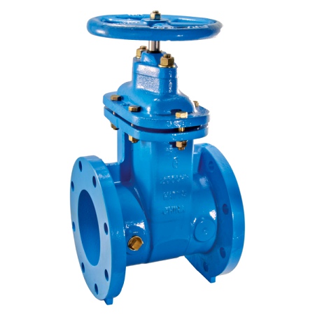 Watts 0700108 Non-Rising Resilient Wedge Gate Valve 10" (405-RW)