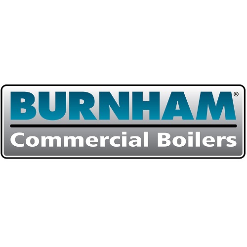 Burnham Boiler 81960002 Paint Spray 12 Oz Can