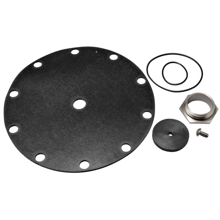 Watts 0125369 Repair Kit 1 1/2" RK LF223N