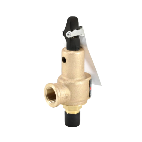 Kunkle 6010DCM01AAM0100 Relief Valve 100psi 1/2x3/4" 643pph