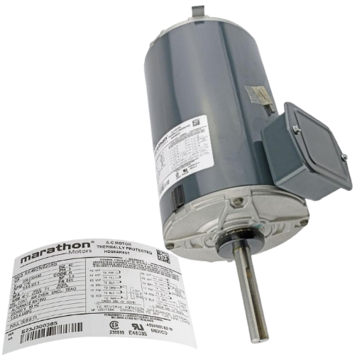 Carrier HD56AK651 Motor