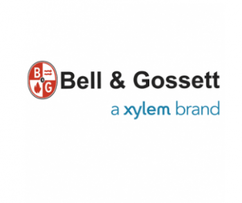 Bell & Gossett 132219 Triple Duty Valve 12 inches Straight 3DS12S