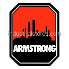 Armstrong Pumps 817025-013 Motor 1/3Hp 115V 1750Rpm