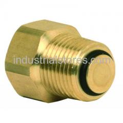 Honeywell SCV-050 Service Check Valve - Expansion Tank 1/2 NPT