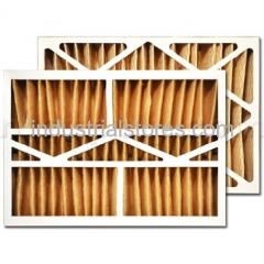 Carrier P102-1620 Replacement Filter
