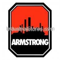 Armstrong Pumps 425518-000 Coupler Key