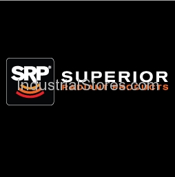 Superior Radiant Products VH005 Vs Electrode Gasket