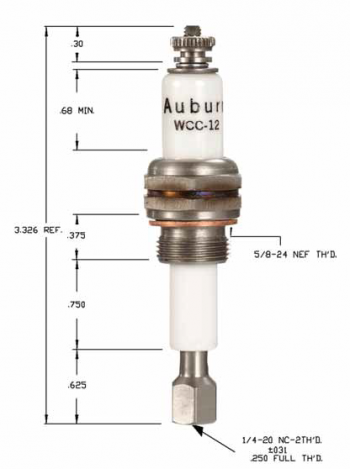 Auburn WCC-12-1 Auburn Liquid Level electrode