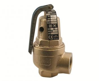 Conbraco 10-608-20 Hot Water Relief Valve 2" 100psi 13577000Btu
