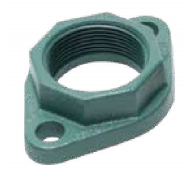 Taco 194-2124F 2" NPT Iron Freedom Flange Set-2pc
