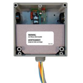 Functional Devices (RIB) RIBT2401D T-Style Pilot Relay