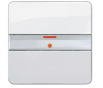 Siemens Building Technology 5WG12412AB11 Wall Switch 1 Pair