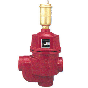 Bell & Gossett 112106 Model EAS1-1/4 Enhanced Air Separator 1-1/4"