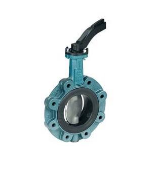Dungs 251-872 Lug Butterfly Valve DN65 2-1/2