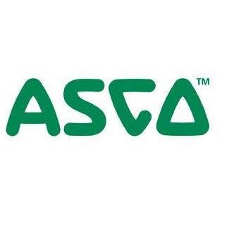 Asco 272851 Ball Valve Strainer Kit