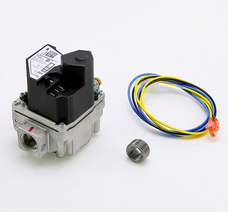 Lochinvar 100109913 Natural Gas Valve