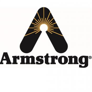 Armstrong International AM93 Pneumatic Operated Humidifier 10#