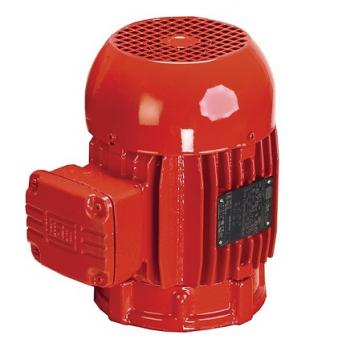 Armstrong Pumps 816676-062 Motor 1Hp Frame 56C 115/230V 1725 RPM