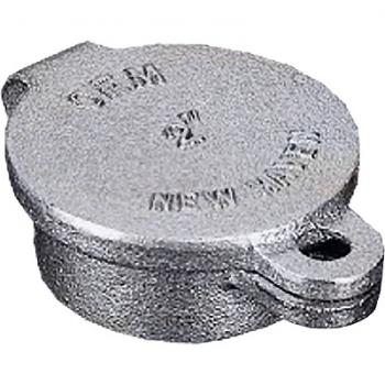 Beckett 14171 Hinged Fill Cap 2" FPT