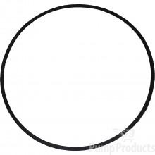 Armstrong Pumps106158-000 Body Gasket