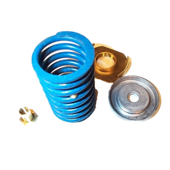 Johnson Controls V-4332-6001 Spring Kit 4-8 PSI 5/16" Stroke