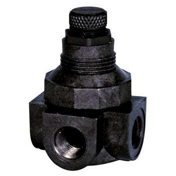 Watts 0354612 Miniature Plastic Water Pressure Regulator 0-25psi 1/4" (P60M1-V)